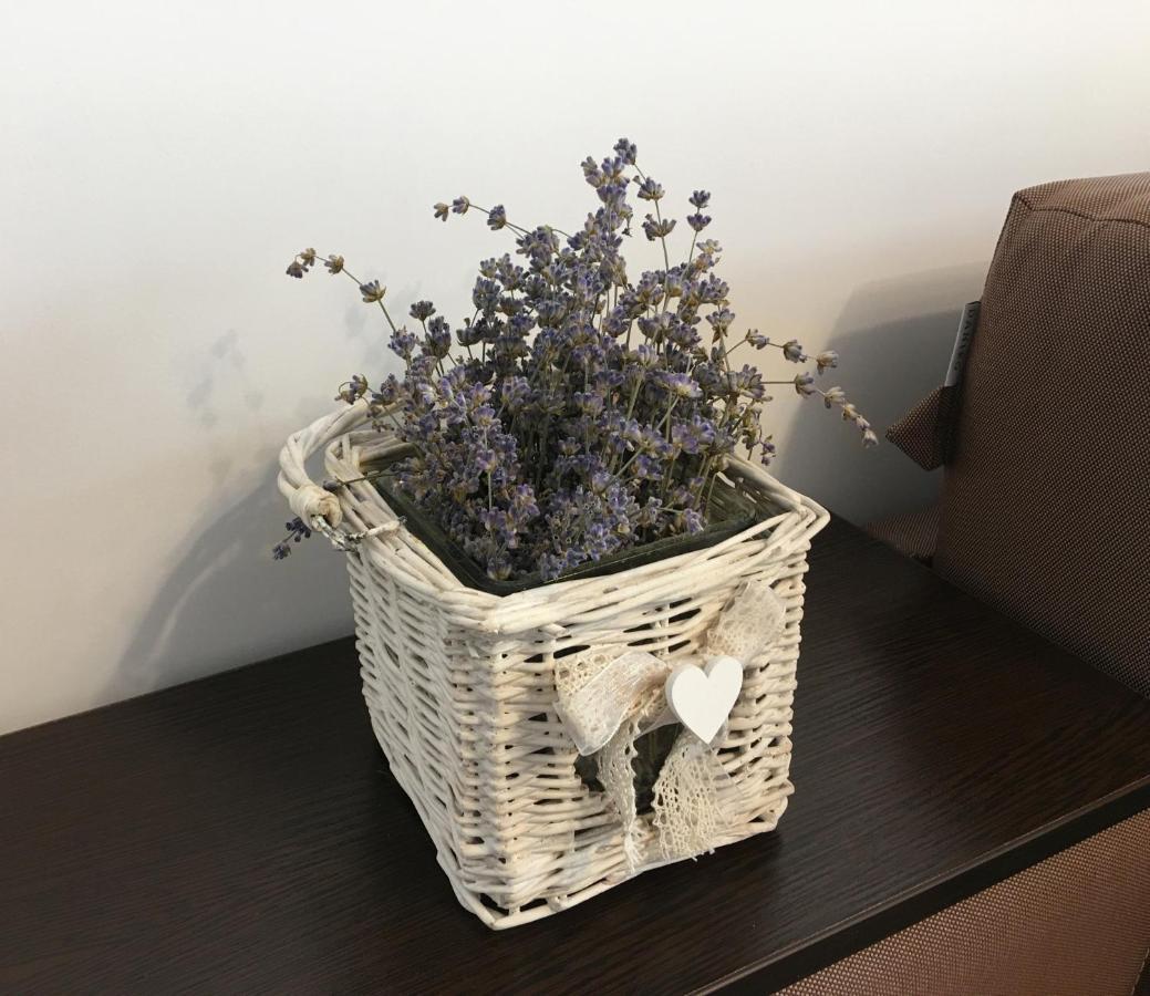 Elegantza Suites Brasov Luaran gambar